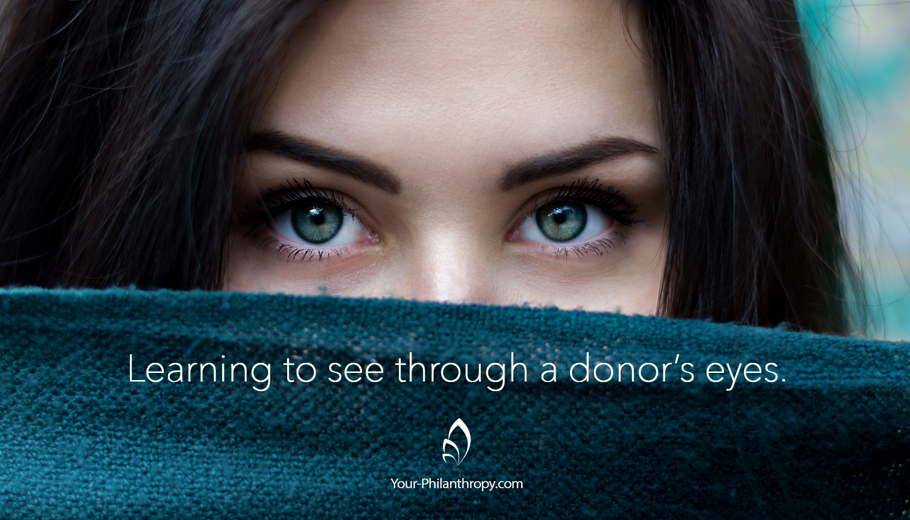 donor's eyes