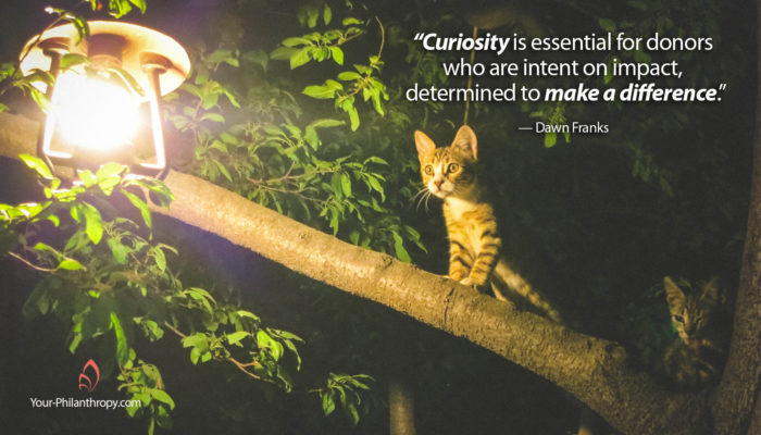 donor curiosity